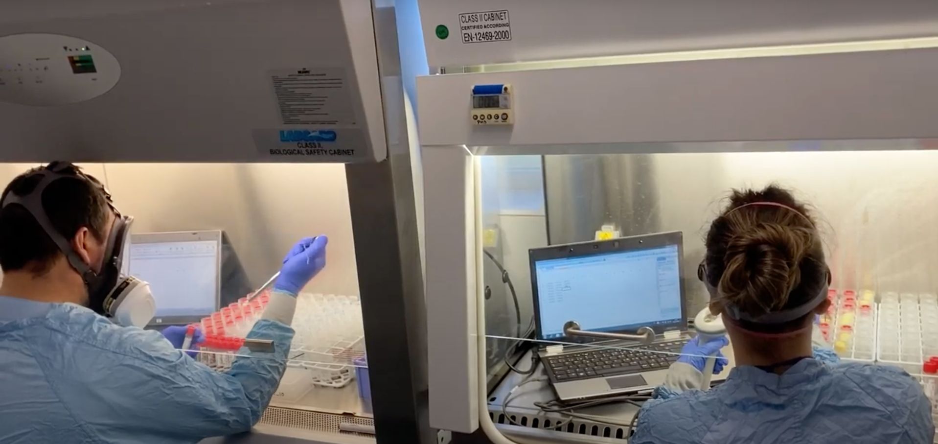 El Laboratorio satélite del CIBA analiza muestras para saber si la cepa británica está en Teruel El Laboratorio satélite del CIBA analiza muestras para saber si la cepa británica está en Teruel