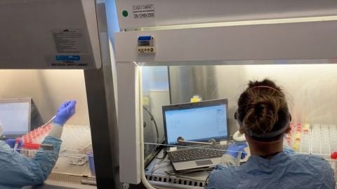 Trabajos en el laboratorio del CIBA