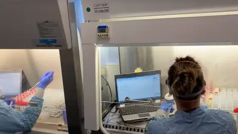 Trabajos en el laboratorio del CIBA Trabajos en el laboratorio del CIBA