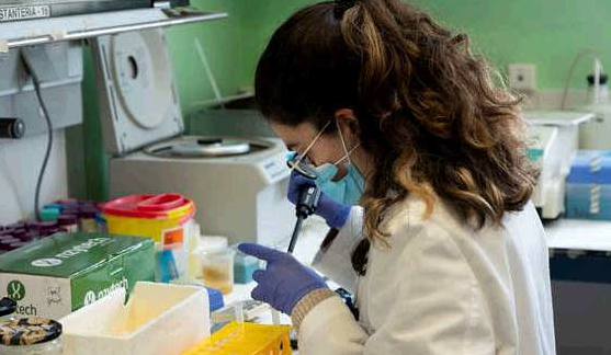 Llega al mercado el test de anticuerpos de Covid-19 del CSIC con una fiabilidad de casi el 100% Llega al mercado el test de anticuerpos de Covid-19 del CSIC con una fiabilidad de casi el 100%