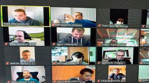 La asamblea de la FAPA se celebr&oacute; de forma telem&aacute;tica.