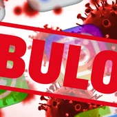 Los bulos sobre el coronavirus que inundaron España con la entrada en vigor del estado de alarma Los bulos sobre el coronavirus que inundaron España con la entrada en vigor del estado de alarma