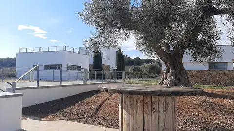 Mas de Rander. VINO ECOLÓGICO