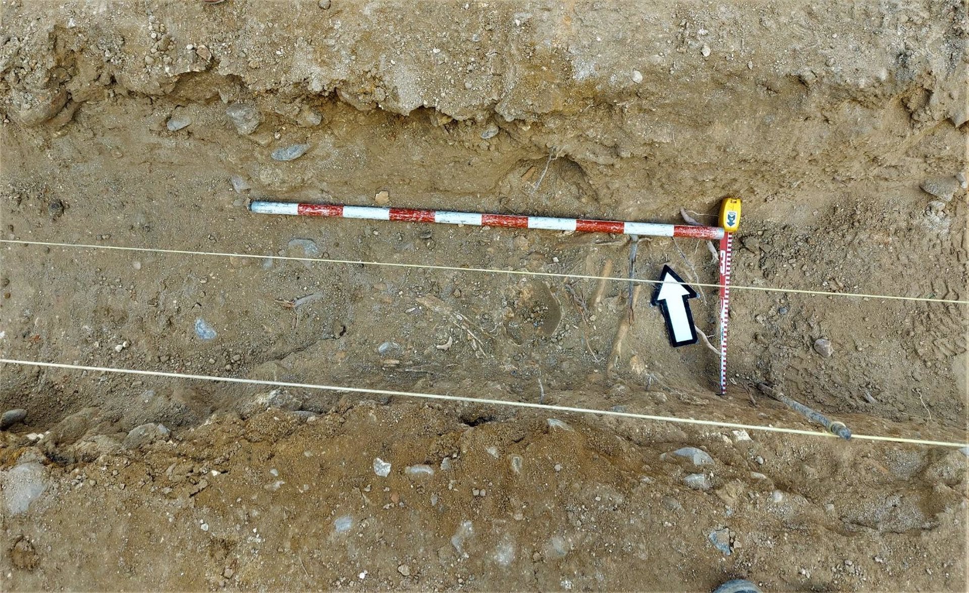 Hallan restos óseos del siglo XVIII en Fuentes de Andalucía Hallan restos óseos del siglo XVIII en Fuentes de Andalucía