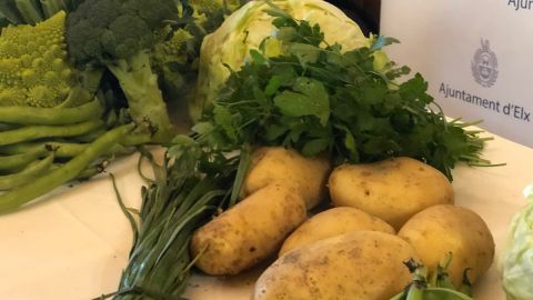 Hortalizas del Camp d'Elx