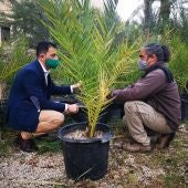 “El futuro del Palmeral, en tus manos”, dirigido a 1.213 escolares de quinto de Primaria de los veinticuatro centros con los que cuenta la ciudad 