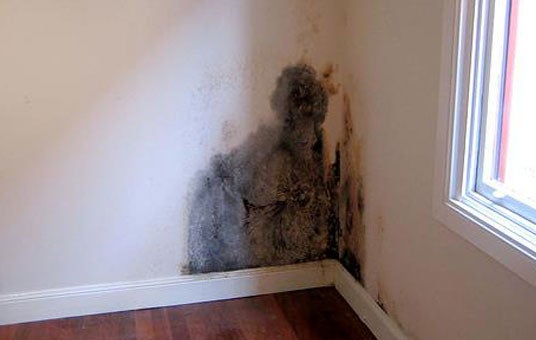 Cómo saber si tienes humedad en casa aunque no se vea Cómo saber si tienes humedad en casa aunque no se vea