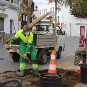 Operarios trabajando en la reposición de árboles
