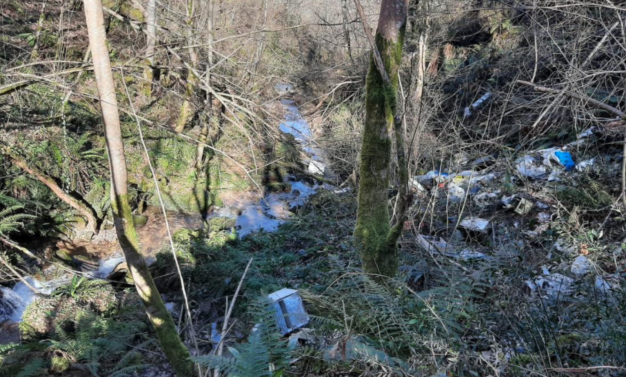 La Coordinadora Ecoloxista denuncia un vertedero ilegal en Piloña y pide su retirada inmediata La Coordinadora Ecoloxista denuncia un vertedero ilegal en Piloña y pide su retirada inmediata