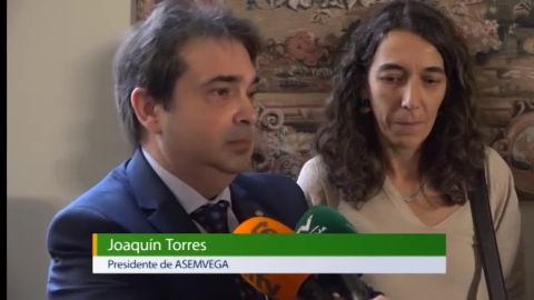 asemvega