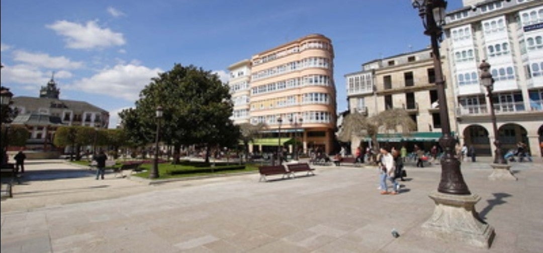Reclama al Ayuntamiento 1000 euros de gastos veterinarios tras romperse su perro una pata en la Plaza Mayor Reclama al Ayuntamiento 1000 euros de gastos veterinarios tras romperse su perro una pata en la Plaza Mayor