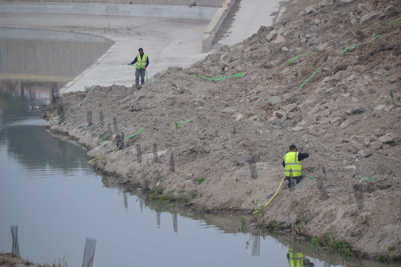 Antonio Pérez, Alcalde de Rojales, eliminaremos las cañas para recuperar una ribera viva porque el Segura es parte de Rojales Antonio Pérez, Alcalde de Rojales, eliminaremos las cañas para recuperar una ribera viva porque el Segura es parte de Rojales