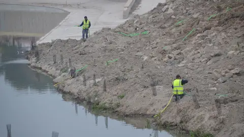 Antonio Pérez, Alcalde de Rojales, eliminaremos las cañas para recuperar una ribera viva porque el Segura es parte de Rojales chs