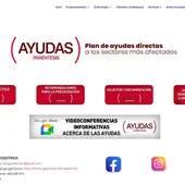 Realizado el primer webinar de los tres previstos por el Ayuntamiento de Guardamar del Segura Realizado el primer webinar de los tres previstos por el Ayuntamiento de Guardamar del Segura