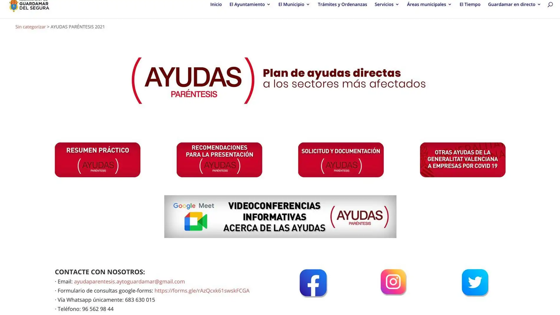Realizado el primer webinar de los tres previstos por el Ayuntamiento de Guardamar del Segura 