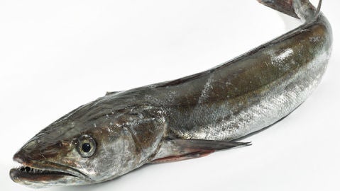 Merluza