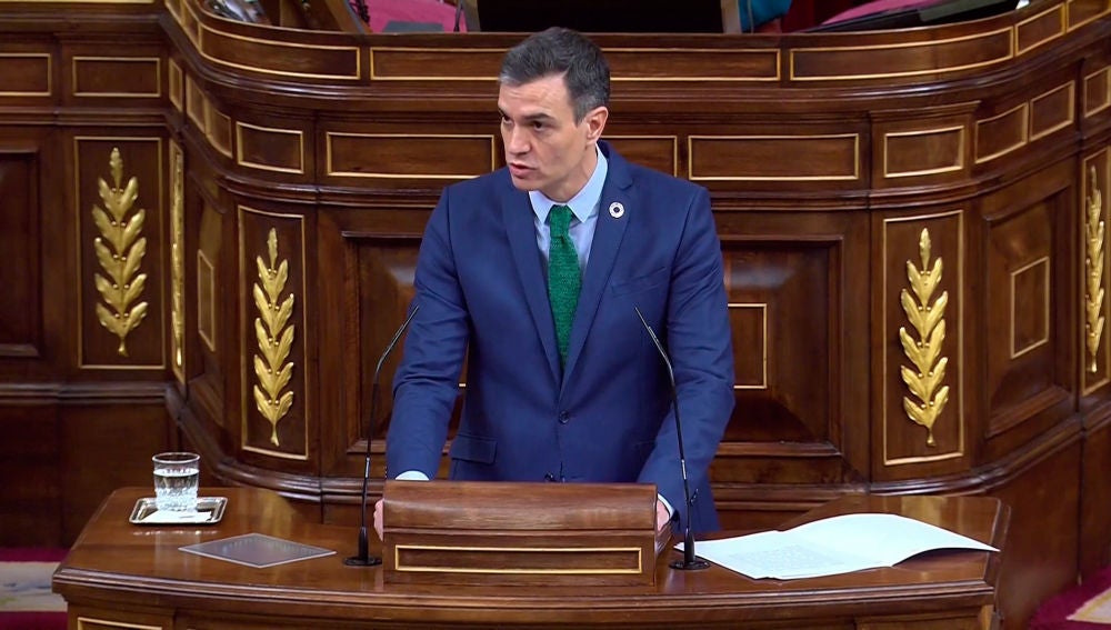 Pedro Sánchez durante su comparecencia en el Congreso Pedro Sánchez durante su comparecencia en el Congreso