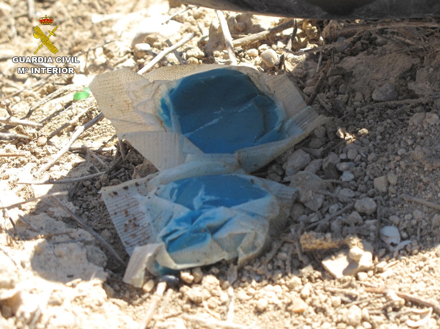 La Guardia Civil investiga a dos personas por el uso indebido de raticida en una explotación agrícola La Guardia Civil investiga a dos personas por el uso indebido de raticida en una explotación agrícola