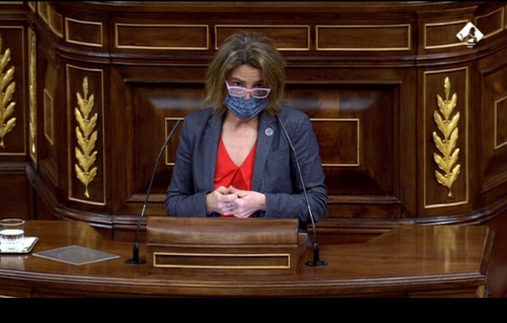 Ribera robustece su posición sobre el lobo: se basa en la ciencia Ribera robustece su posición sobre el lobo: se basa en la ciencia