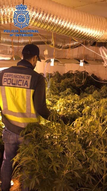 La Policía Nacional detiene a los responsables de una plantación “indoor” de marihuana La Policía Nacional detiene a los responsables de una plantación “indoor” de marihuana
