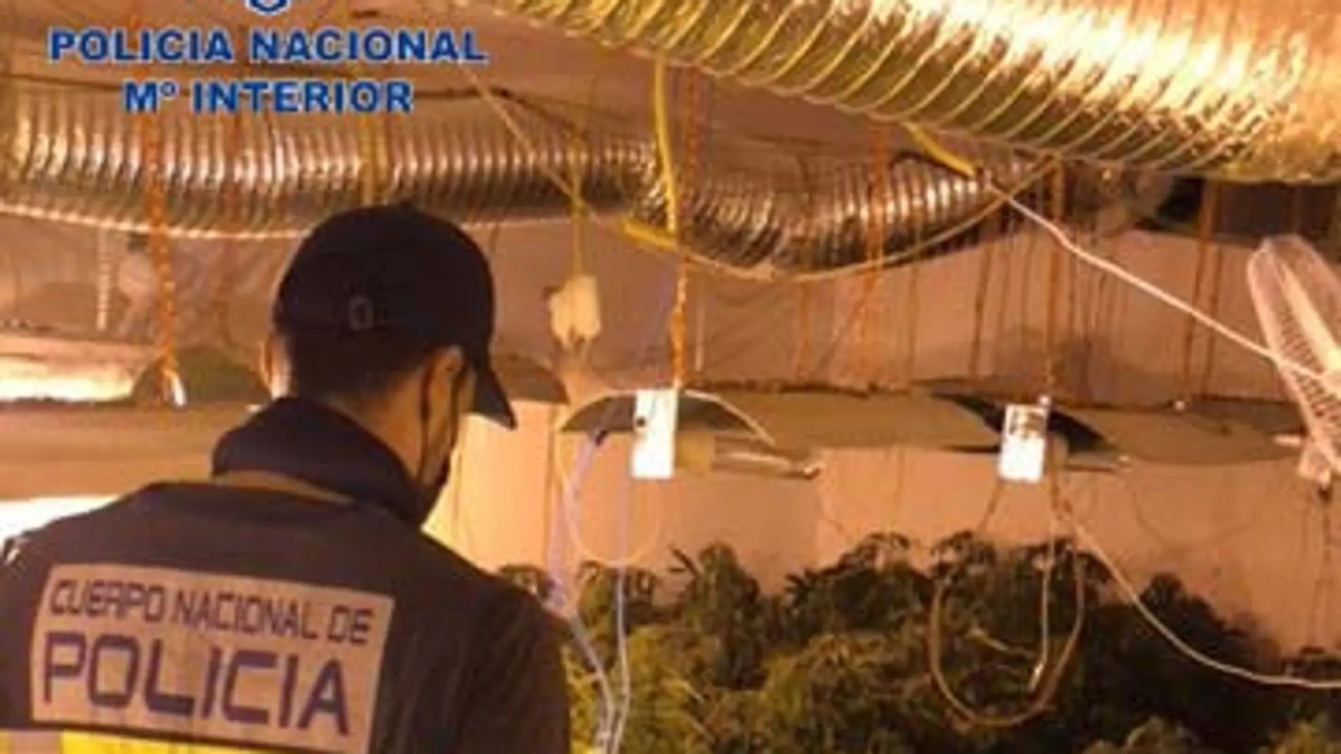 La Policía Nacional detiene a los responsables de una plantación “indoor” de marihuana