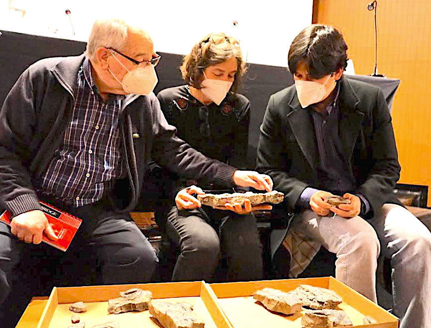 El Museo Jurásico de Colunga presenta fósiles de nuevas especies de artrópodos marinos primitivos El Museo Jurásico de Colunga presenta fósiles de nuevas especies de artrópodos marinos primitivos