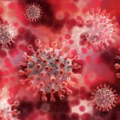 Las proteínas accesorias del coronavirus determinan la gravedad de la enfermedad, según un estudio