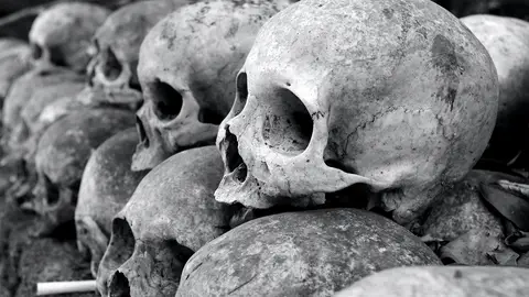 Cráneos de personas muertas Cráneos de personas muertas