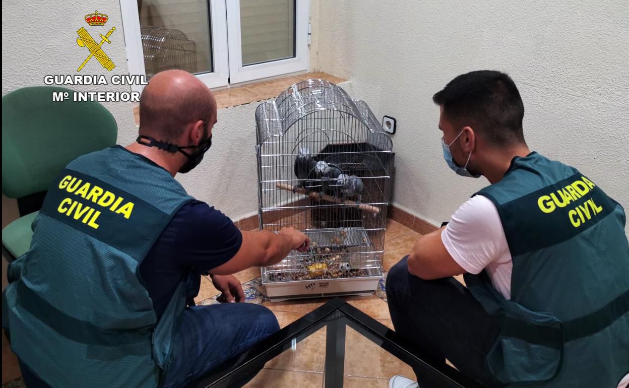 "Si traen una maleta con 100 animales, con que les sobreviva uno solo ya les ha salido el viaje bien" "Si traen una maleta con 100 animales, con que les sobreviva uno solo ya les ha salido el viaje bien"