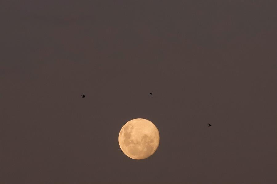 Luna de nieve 2021 en España: cuándo y cómo ver la Luna llena que despide febrero Luna de nieve 2021 en España: cuándo y cómo ver la Luna llena que despide febrero