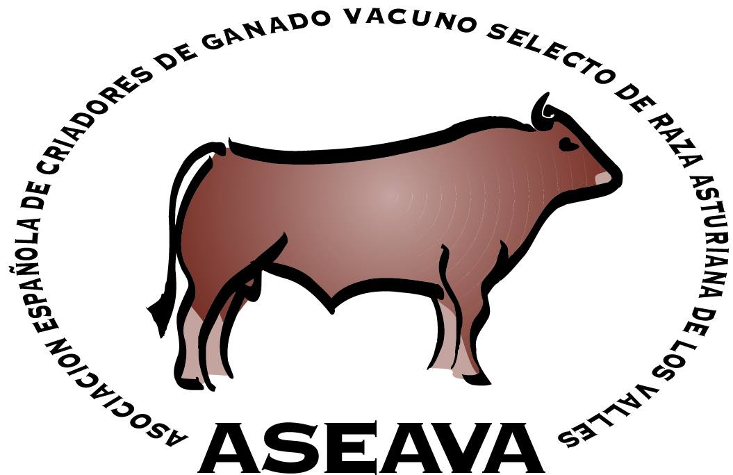 La Junta Electoral de ASEAVA defiende su actividad y decisiones. La Junta Electoral de ASEAVA defiende su actividad y decisiones.
