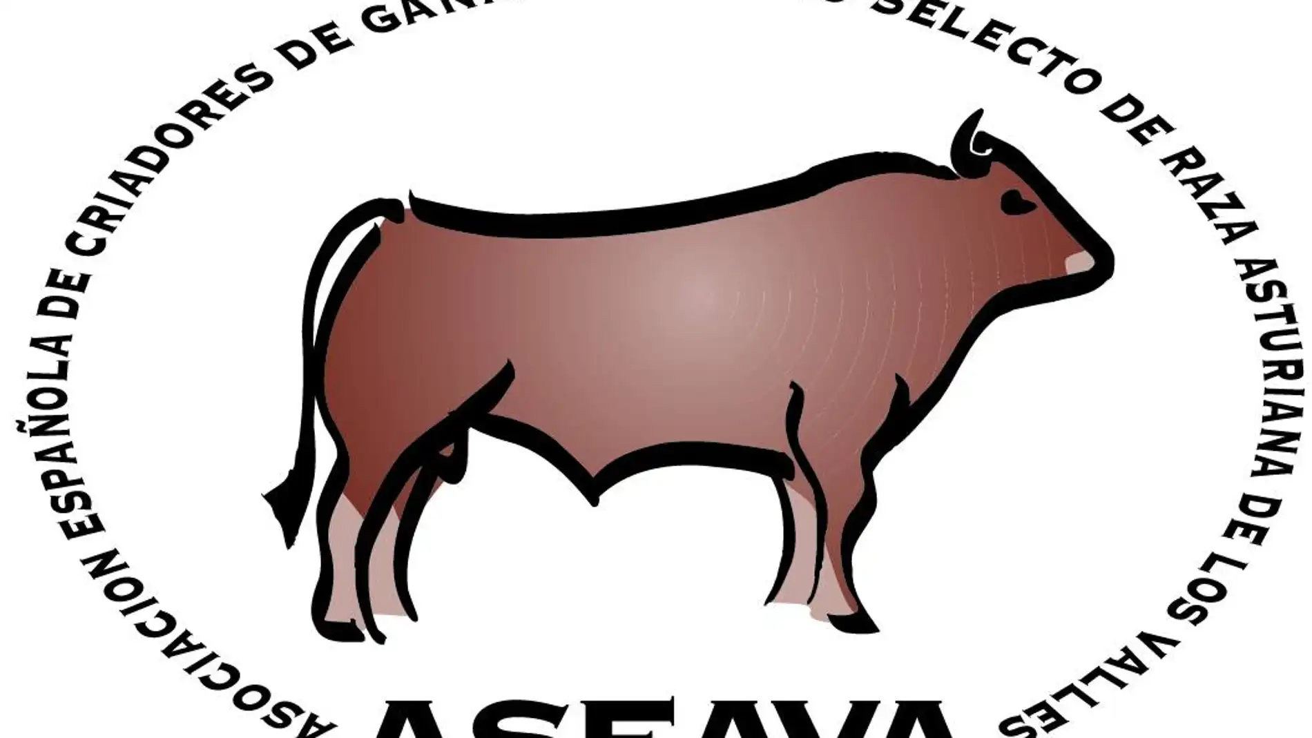 La Junta Electoral de ASEAVA defiende su actividad y decisiones.