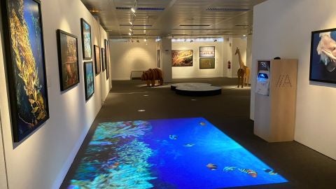 Exposici&oacute;n de Afundaci&oacute;n