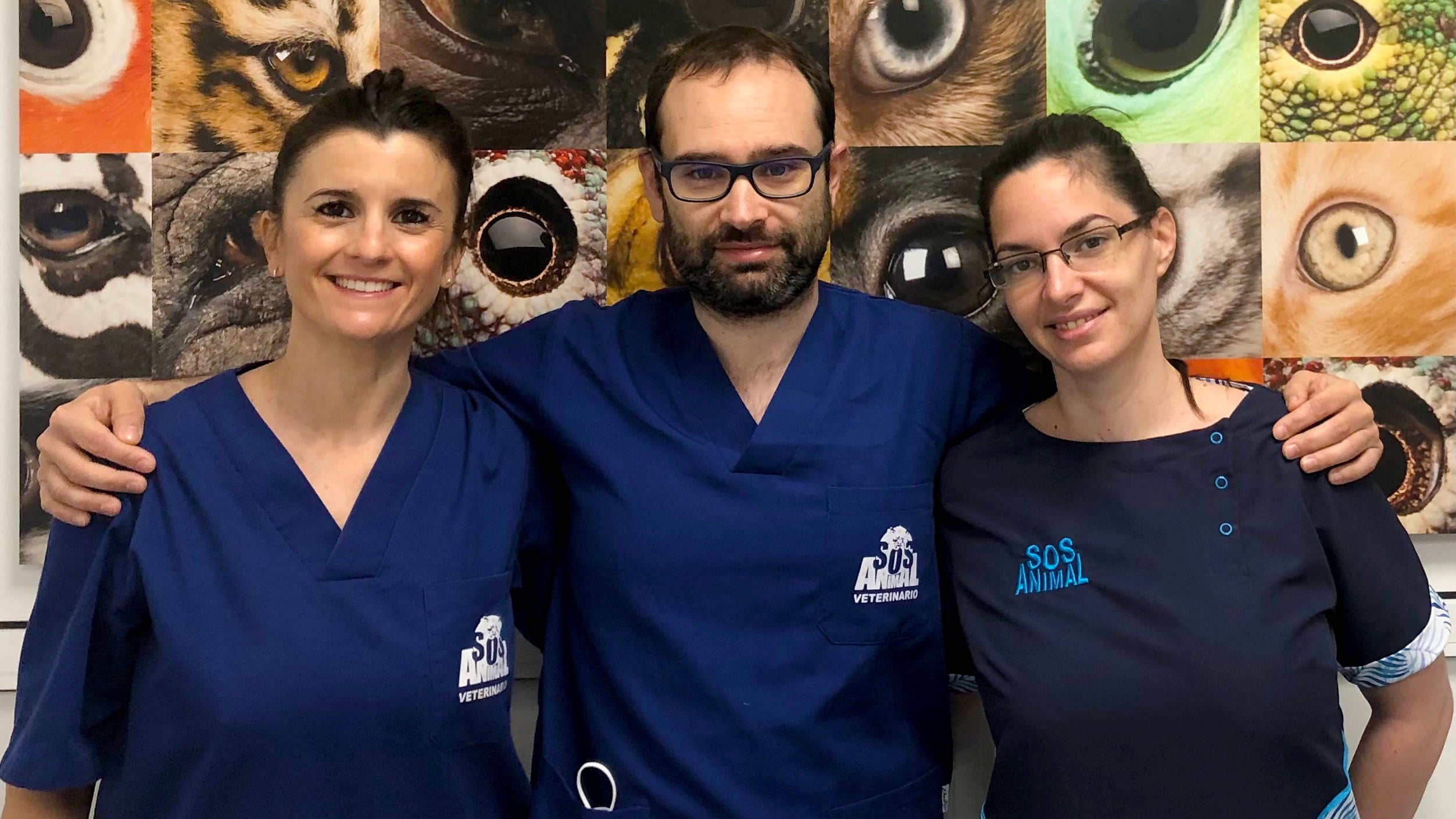 Nuevo centro de especialidades veterinarias en Málaga Nuevo centro de especialidades veterinarias en Málaga