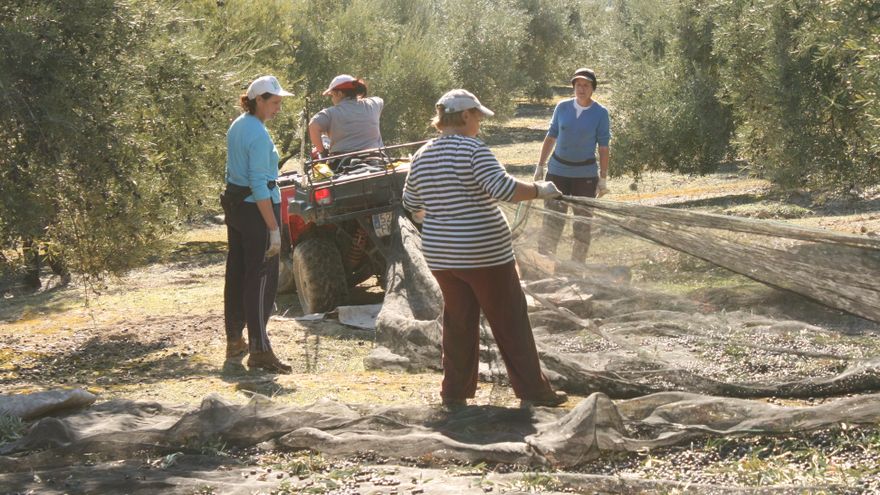 Febrero deja 682 parados más en la provincia de Ciudad Real, sobre todo en agricultura Febrero deja 682 parados más en la provincia de Ciudad Real, sobre todo en agricultura