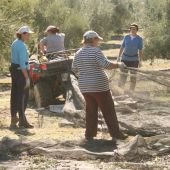 El paro se incrementó sobre todo en agricultura