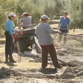 El paro se incrementó sobre todo en agricultura El paro se incrementó sobre todo en agricultura