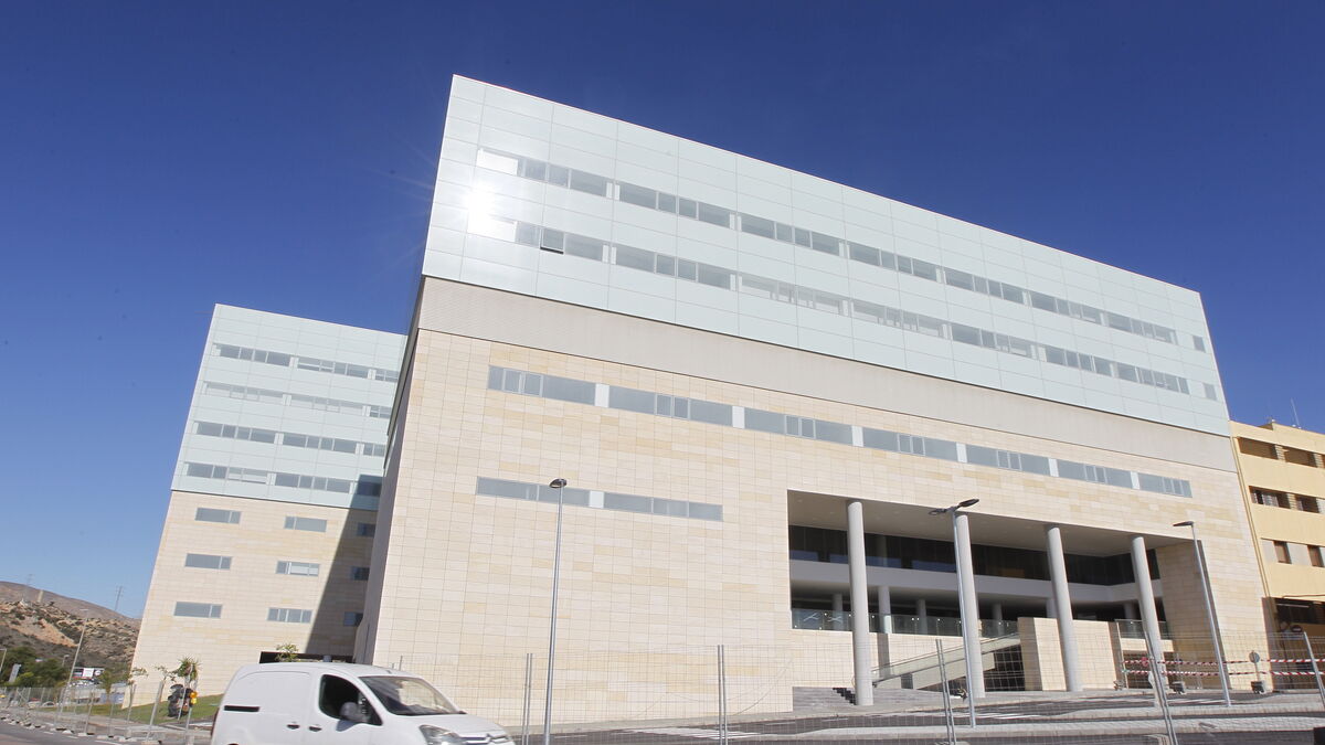 A prisión los cuatro detenidos acusados de agredir a dos agentes en Torrecárdenas A prisión los cuatro detenidos acusados de agredir a dos agentes en Torrecárdenas