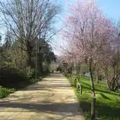 O Concello porá en valor o paseo do río Miño como gran zona de lecer da cidade O Concello porá en valor o paseo do río Miño como gran zona de lecer da cidade
