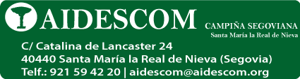 Analizamos los principales proyectos de Aidescom para la campiña segoviana Analizamos los principales proyectos de Aidescom para la campiña segoviana