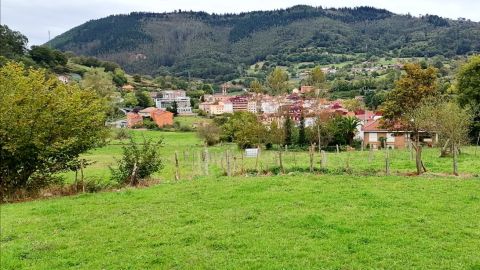 El Ayuntamiento aprobar&aacute; nuevas ayudas.
