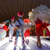 Carnaval de Santa Cruz de Tenerife Carnaval de Santa Cruz de Tenerife