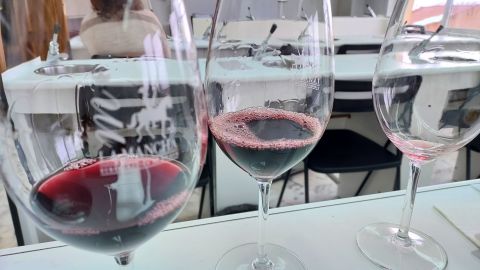Cata de vinos
