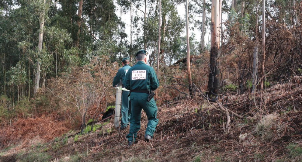 La Guardia Civil investiga a un vecino de Cangas de Onís por el incendio forestal en el monte de la Cruz de Priena de Covadonga. La Guardia Civil investiga a un vecino de Cangas de Onís por el incendio forestal en el monte de la Cruz de Priena de Covadonga.