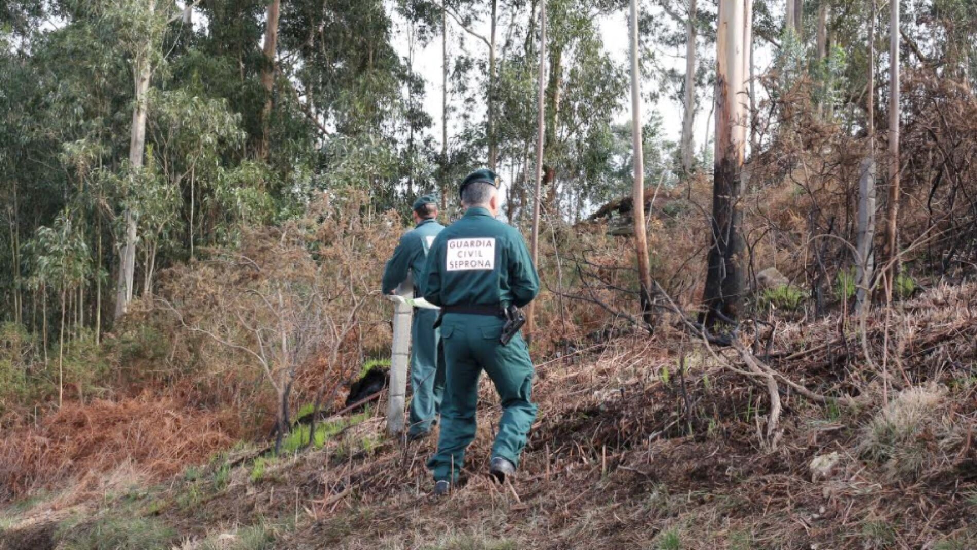 La Guardia Civil investiga a un vecino de Cangas de Onís por el