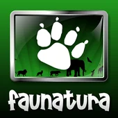 “La enhorabuena por el programa de voluntariado que han realizado sobre el estudio de la riqueza faunística del término municipal de Orihuela" “La enhorabuena por el programa de voluntariado que han realizado sobre el estudio de la riqueza faunística del término municipal de Orihuela"