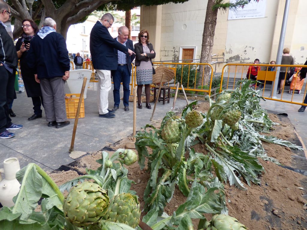 José Antº Latorre, edil de Fomento, marzo sigue siendo el mes de la alcachofa en Almoradí José Antº Latorre, edil de Fomento, marzo sigue siendo el mes de la alcachofa en Almoradí