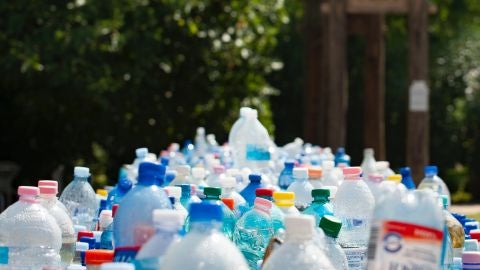 Botellas de pl&aacute;stico.
