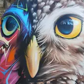 Así de bonitos han quedado los contenedores de vidrio, papel, plásticos y basura situados en El Recorral. Adaptación del arte en la naturaleza Así de bonitos han quedado los contenedores de vidrio, papel, plásticos y basura situados en El Recorral. Adaptación del arte en la naturaleza