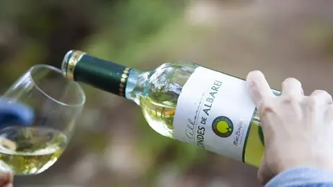 Condes de Albarei Más de Uno Pontevedra